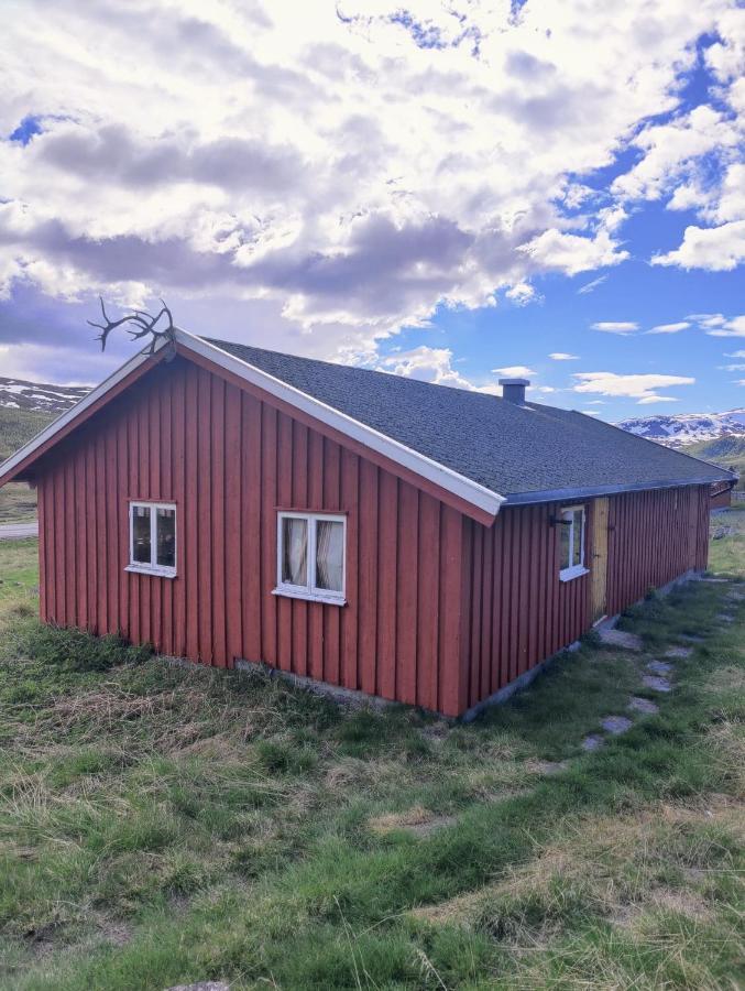 Kyrkjestolen B&B Tyinkrysset Ngoại thất bức ảnh